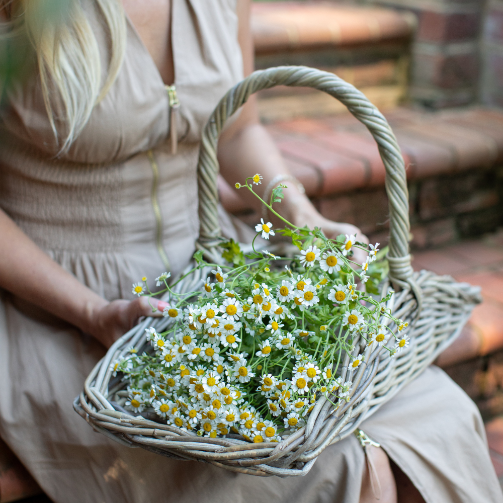 Rattan Garden Trug Basket