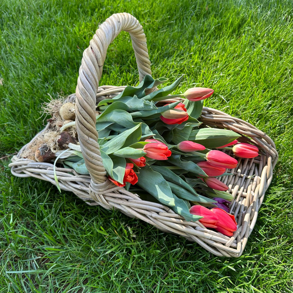 Rattan Garden Trug Basket